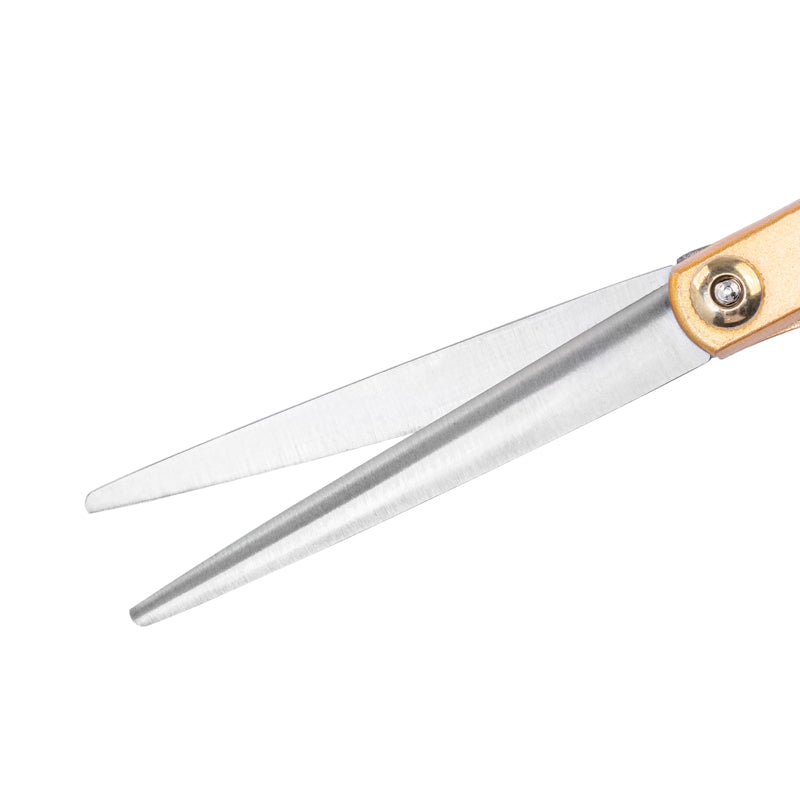 Forbici per capelli SNIPPEX 6.0 oro